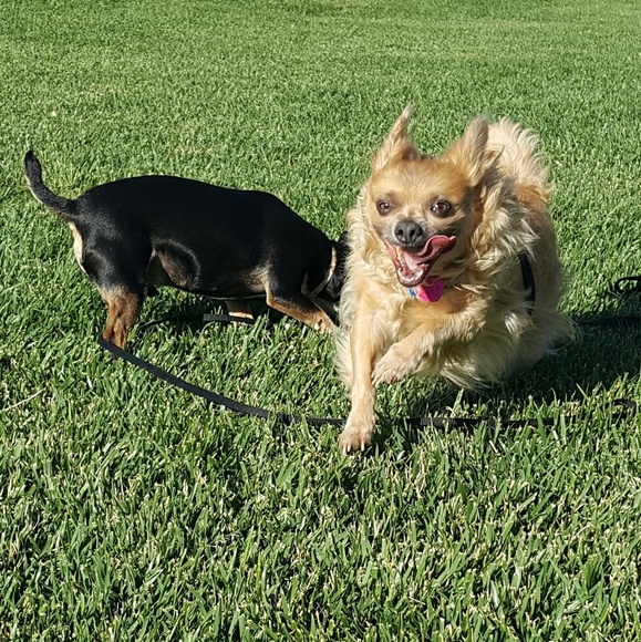 Meet your Posher, Em - Picture 5 of 7